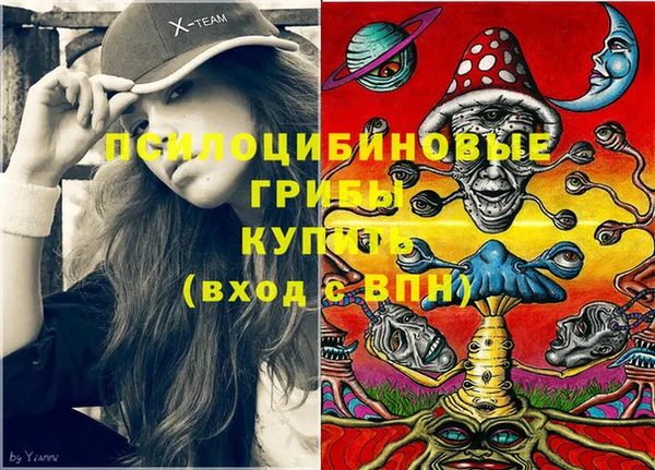 а пвп мука Богородск