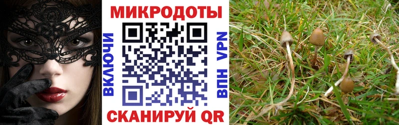 Псилоцибиновые грибы ЛСД  Мирный 