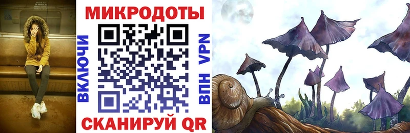 Псилоцибиновые грибы прущие грибы Мирный